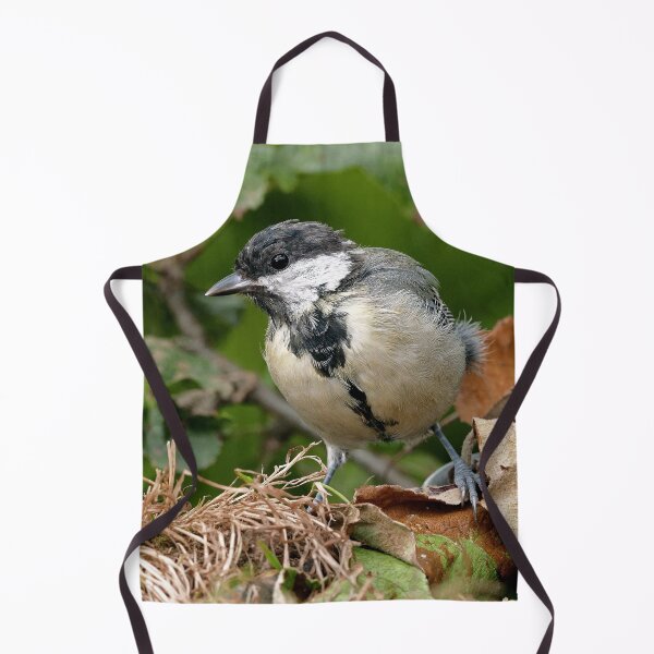 Item preview, r1473/ Super New Finition 2021- Birds b 24 (c)(t) by Olao-Olavia / Okaio Créations designed and sold by o.okaïo.