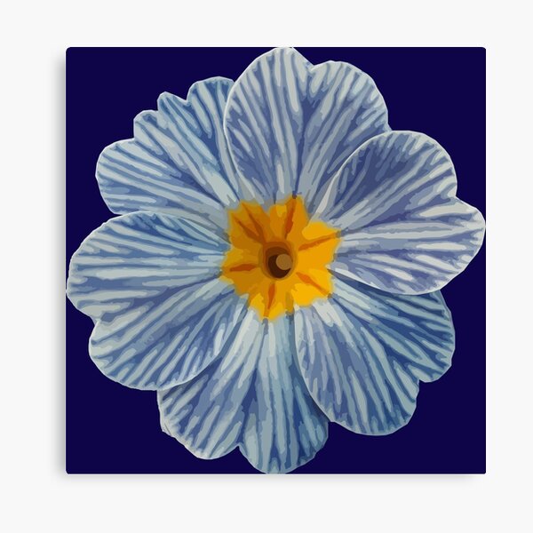 Zebra Blue Primrose Canvas Print