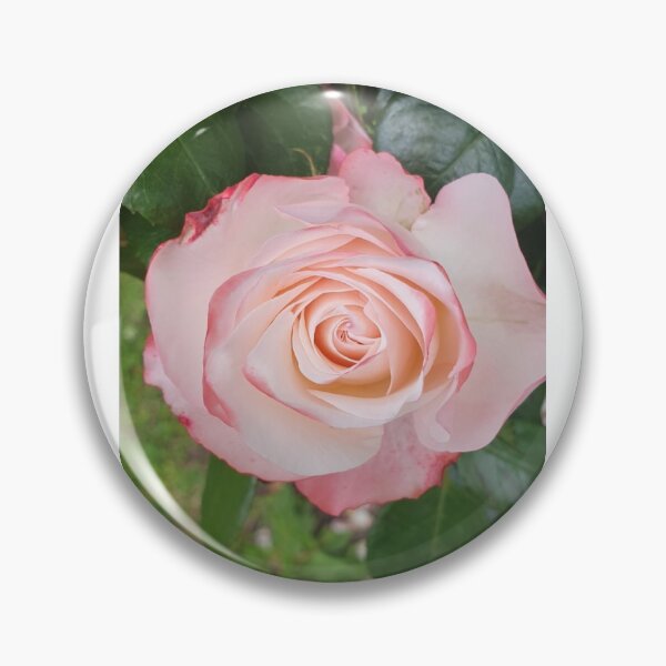 Artikelvorschau, Rosie's rosa  entworfen und verkauft von SJML.
