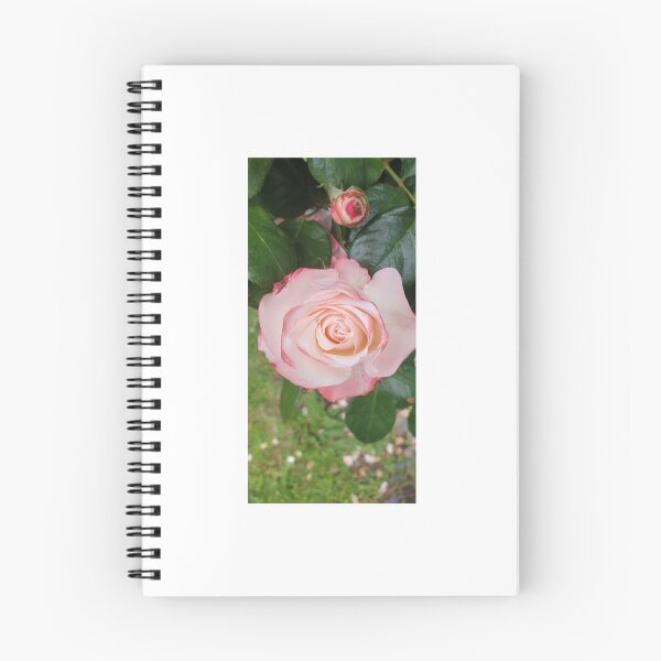 Item preview, Rosie's pink designed and sold by SJML.