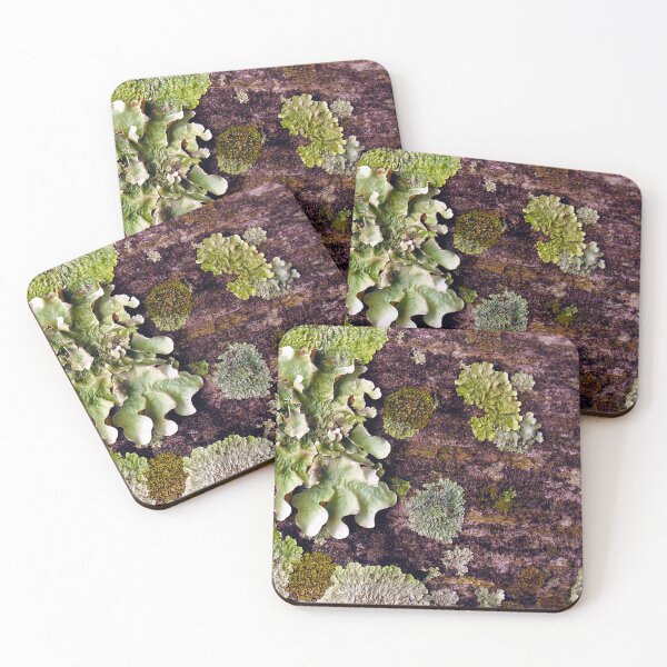 Item preview, I live on a tree designed and sold by Elisabeth Dubois.