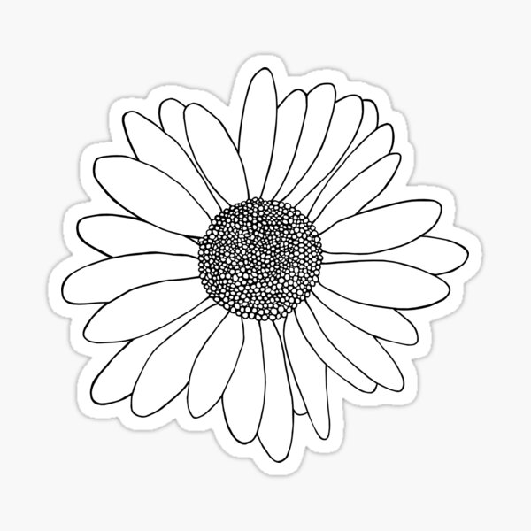 Black and White Watercolor Daisy Doodle | Sticker
