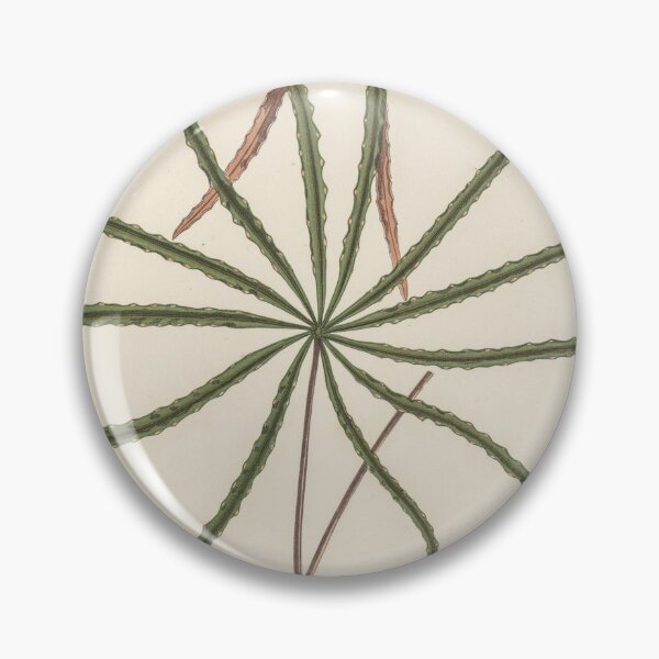 Item preview, Aralia Veitchii by Benjamin Fawcett designed and sold by redoARTstore.