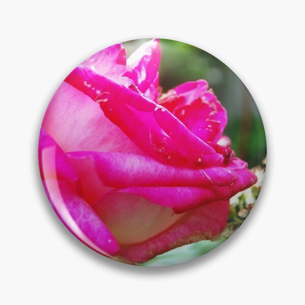 Item preview, Roses are Red .... designed and sold by ronsaunders47.