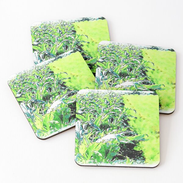 Item preview, Hortus Conclusus: fennel and artichoke plants designed and sold by Giuseppe Cocco.