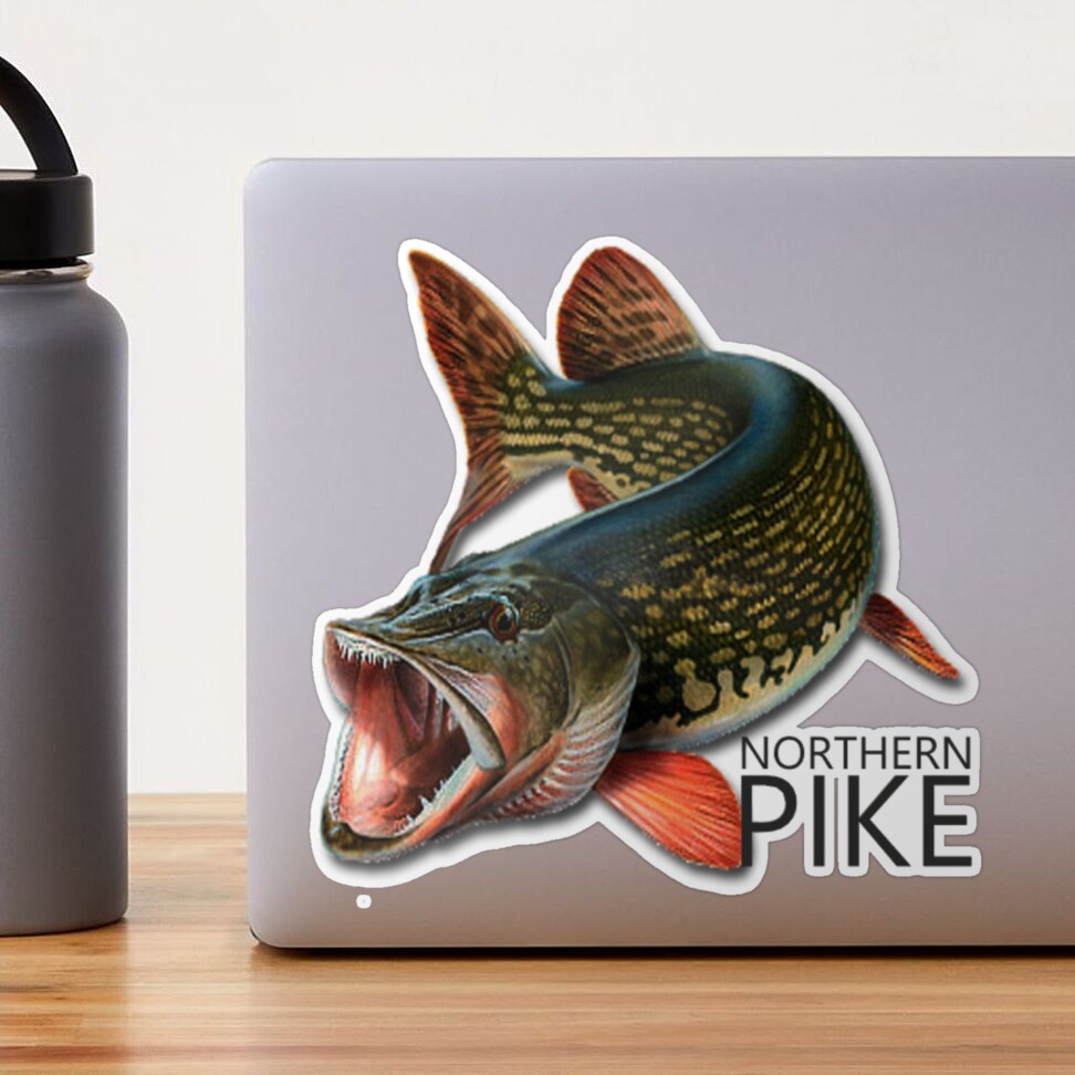 Northern Pike Predator Fishing Design Sticker for Sale by StatementTeesUK
