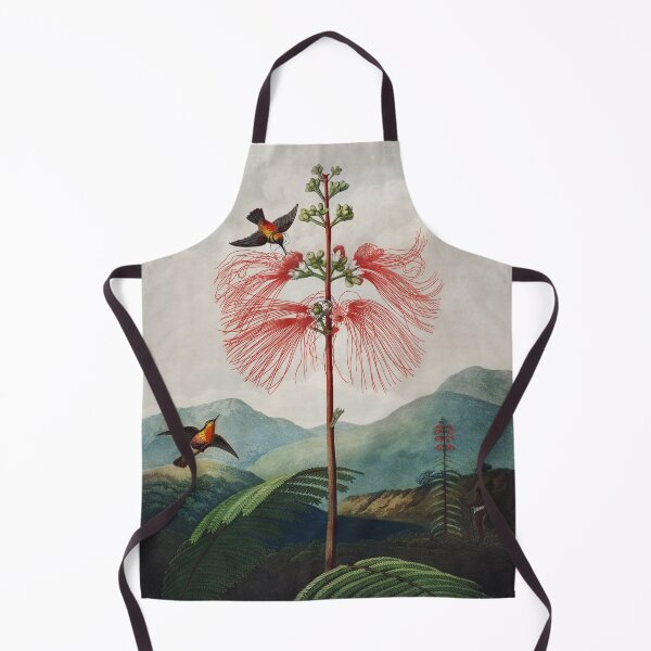 Item preview, Large Flowering Sensitive Plant and Hummingbirds by Thorton designed and sold by redoARTstore.