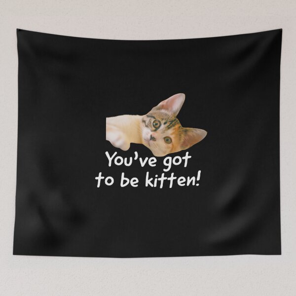 Item preview, You've got to be kitten, cute kittens pun. designed and sold by Theleochick.