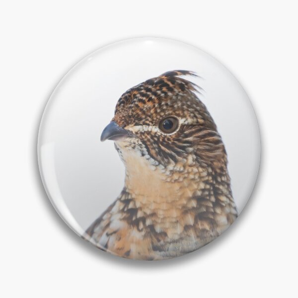 Item preview, Ruffed Grouse peeking over the Snow designed and sold by James Cumming.