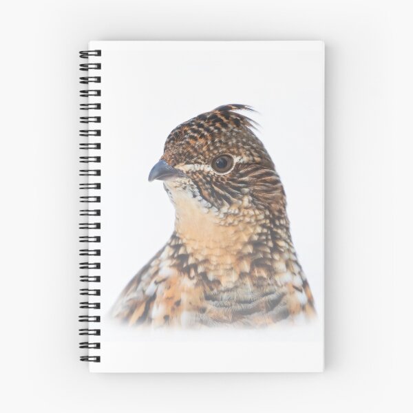Item preview, Ruffed Grouse peeking over the Snow designed and sold by James Cumming.