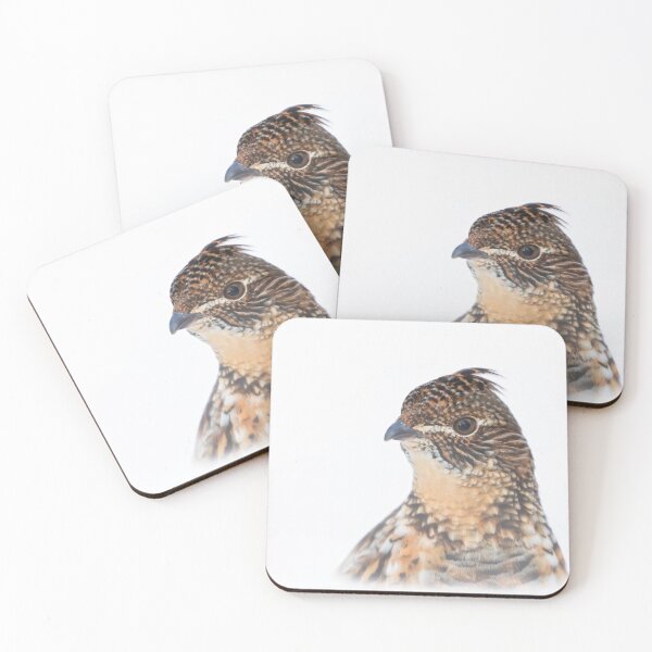 Item preview, Ruffed Grouse peeking over the Snow designed and sold by James Cumming.
