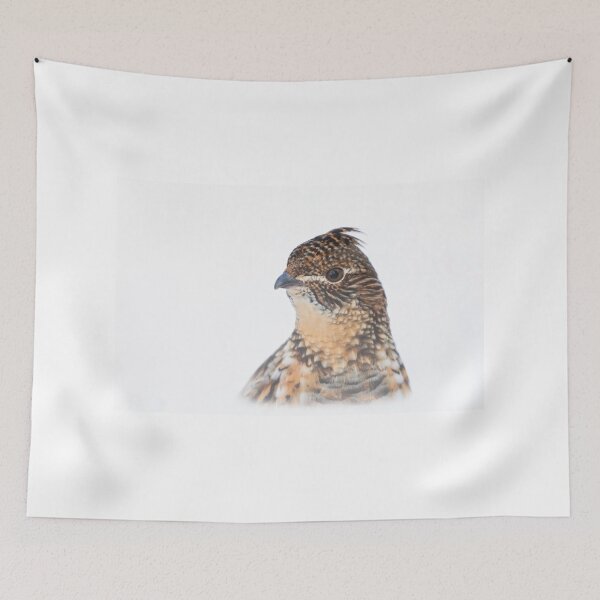 Item preview, Ruffed Grouse peeking over the Snow designed and sold by James Cumming.