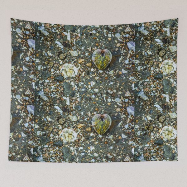 Item preview, Shells designed and sold by SzendeB.