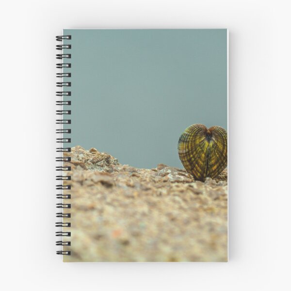 Item preview, Shells designed and sold by SzendeB.