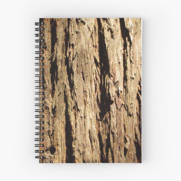 Aperçu de l'œuvre Costal Redwood Bark créée et vendue par imasillypirate.