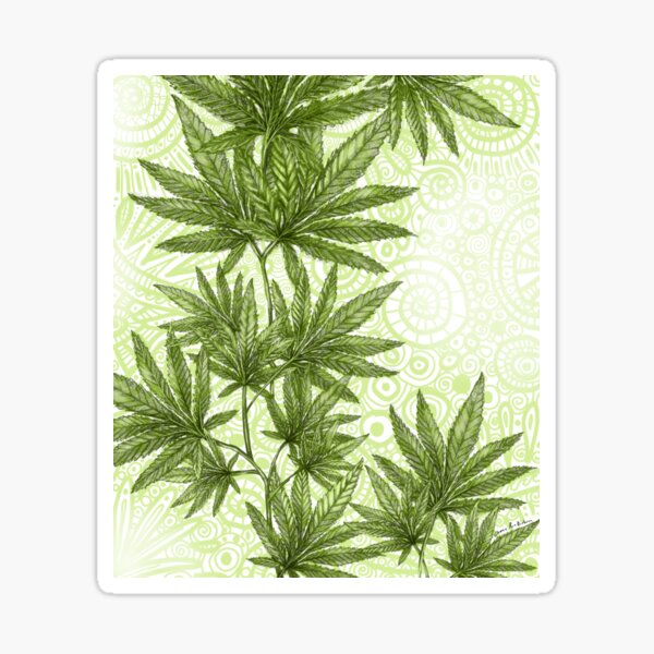 Hemp Plant on Green Spirals Sticker