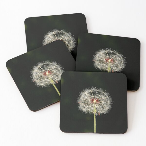 Item preview, Infructescence of the dandelion "blowball" designed and sold by NW-Photo-Art.