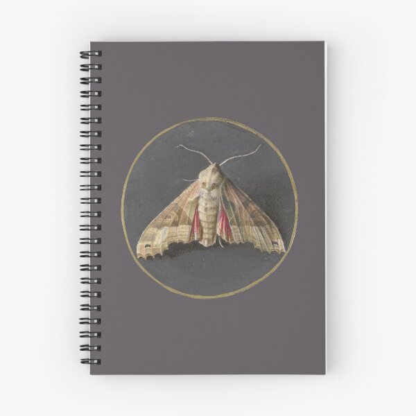 Item preview, Moth designed and sold by redstitchlab.