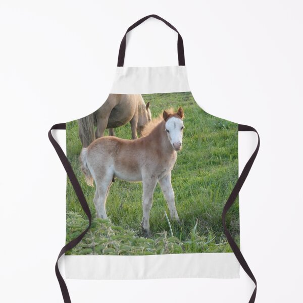 Item preview, Marsh Pony designed and sold by amdavies.