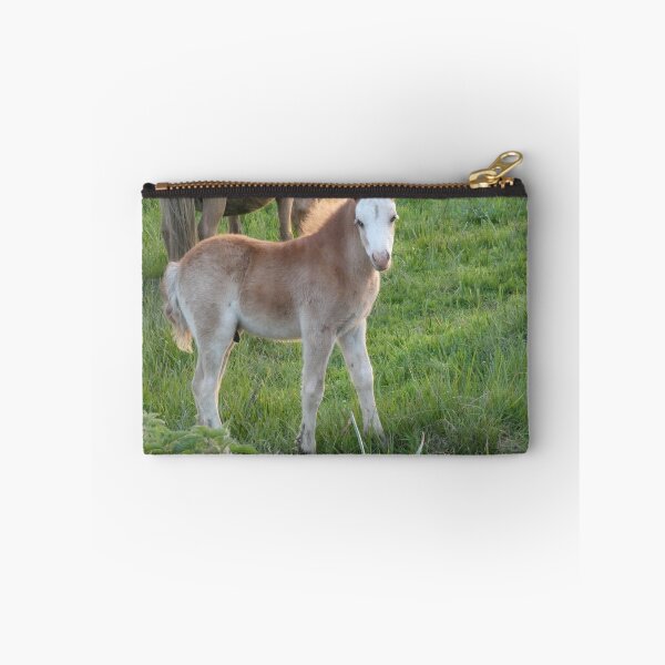 Item preview, Marsh Pony designed and sold by amdavies.