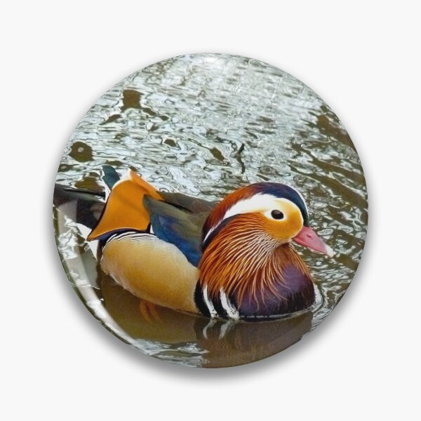 Artikelvorschau, Augen hoch, Ente entworfen und verkauft von jonvin.