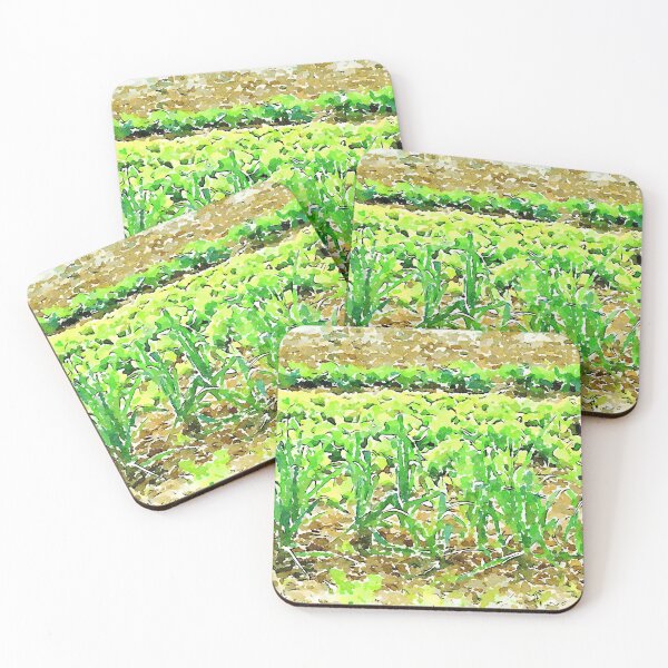 Item preview, Hortus Conclusus: vegetable garden designed and sold by Giuseppe Cocco.