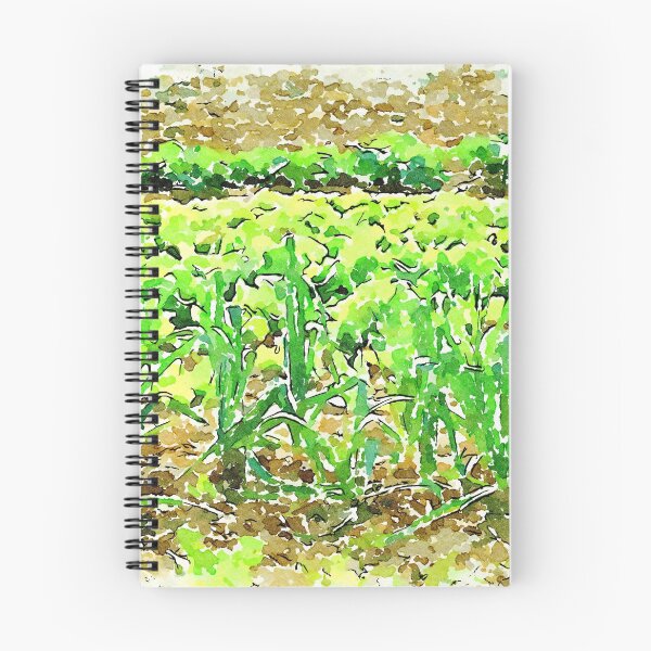 Item preview, Hortus Conclusus: vegetable garden designed and sold by Giuseppe Cocco.