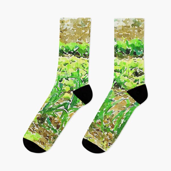 Item preview, Hortus Conclusus: vegetable garden designed and sold by Giuseppe Cocco.