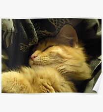 Golden Snuggle Poster