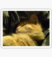 Golden Snuggle Sticker