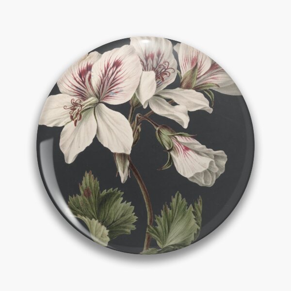 Item preview, Pelargonium Album Bicolor (geranium) designed and sold by redstitchlab.