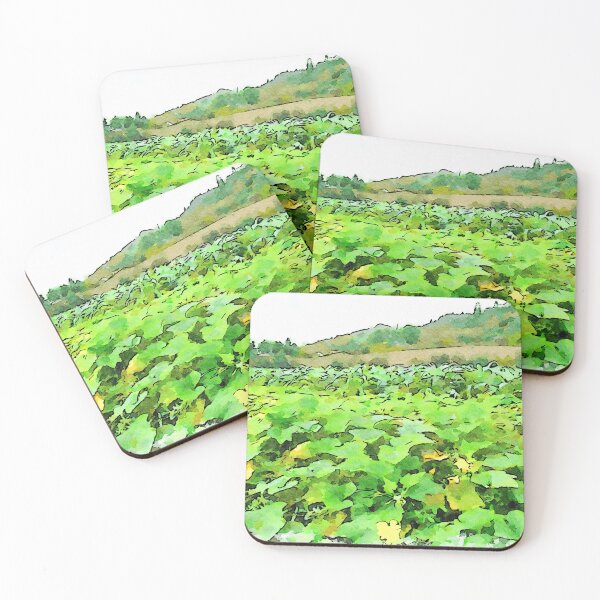 Item preview, Hortus Conclusus: vegetable garden designed and sold by Giuseppe Cocco.