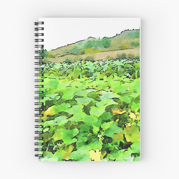 Item preview, Hortus Conclusus: vegetable garden designed and sold by Giuseppe Cocco.