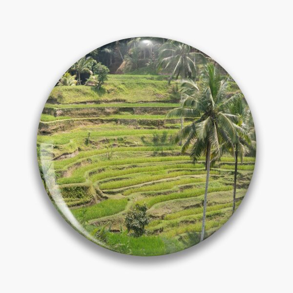 Item preview, Bali rice terraces designed and sold by reisefoto.
