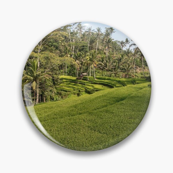 Item preview, Bali rice terraces designed and sold by reisefoto.
