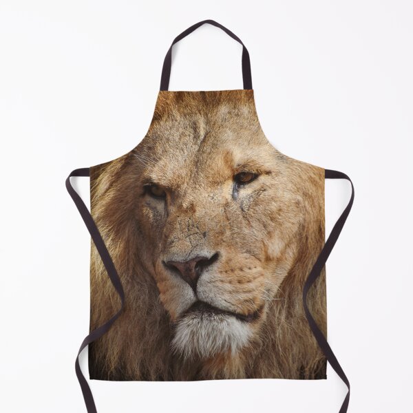 Item preview, Close up of a stunning male lion designed and sold by cdkphotos.