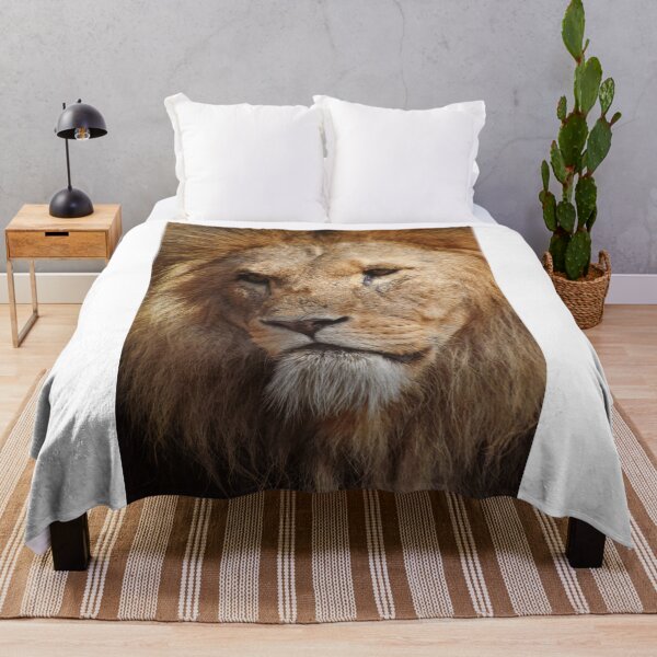 Item preview, Close up of a stunning male lion designed and sold by cdkphotos.