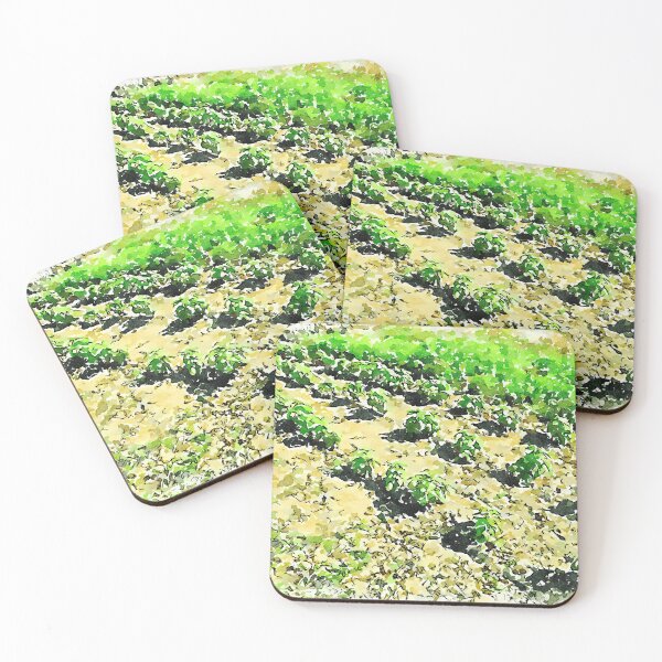 Item preview, Hortus Conclusus: vegetable garden designed and sold by Giuseppe Cocco.