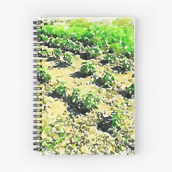 Item preview, Hortus Conclusus: vegetable garden designed and sold by Giuseppe Cocco.
