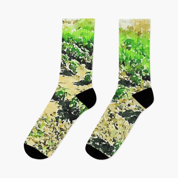 Item preview, Hortus Conclusus: vegetable garden designed and sold by Giuseppe Cocco.