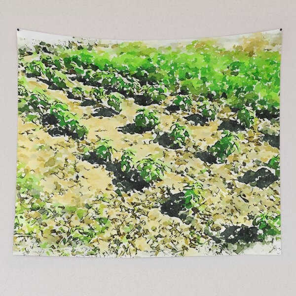 Item preview, Hortus Conclusus: vegetable garden designed and sold by Giuseppe Cocco.