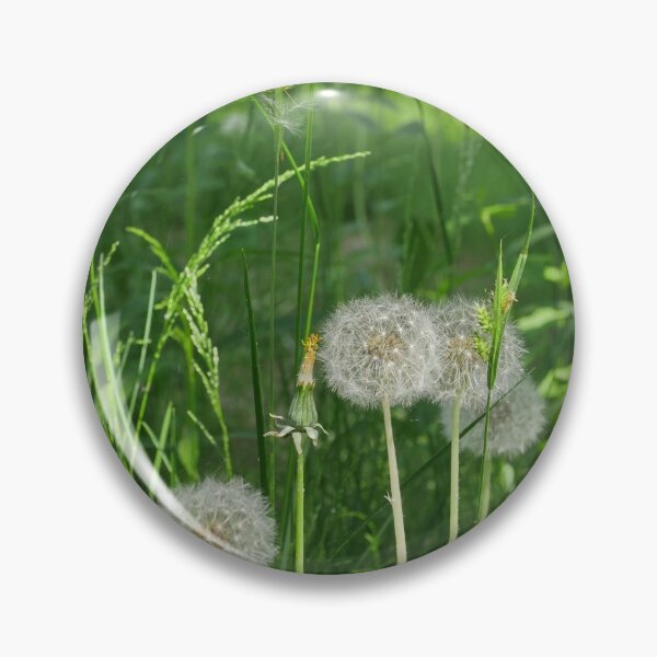 Item preview, fluffy balls of blooming dandelions  designed and sold by mrivserg.