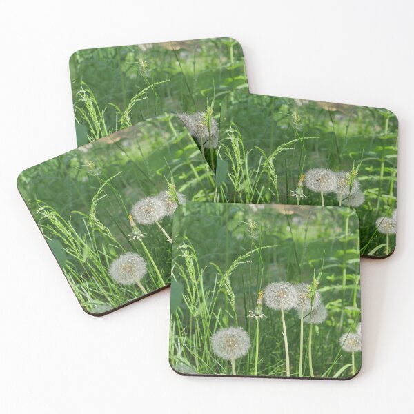 Item preview, fluffy balls of blooming dandelions  designed and sold by mrivserg.