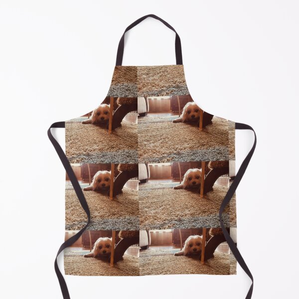 Item preview, Maltese at Play designed and sold by TmartUS.