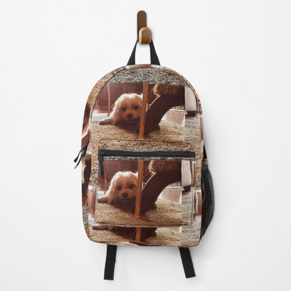 Item preview, Maltese at Play designed and sold by TmartUS.