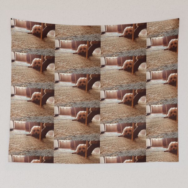 Item preview, Maltese at Play designed and sold by TmartUS.