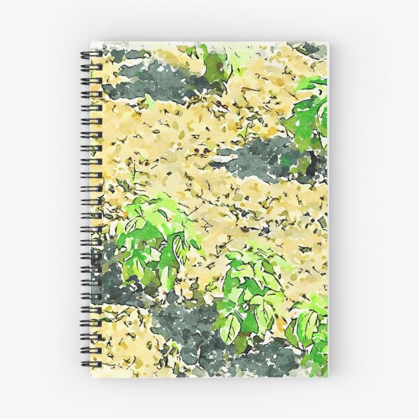 Item preview, Hortus Conclusus: vegetable garden designed and sold by Giuseppe Cocco.