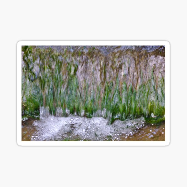 Bubbles and Water Abstract Sticker