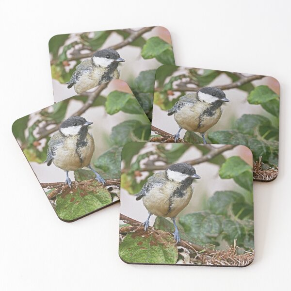Item preview, r1472/ Super New Finition 2021- Birds  b 23 (c)(t)  by Olao-Olavia / Okaio Créations   designed and sold by o.okaïo.