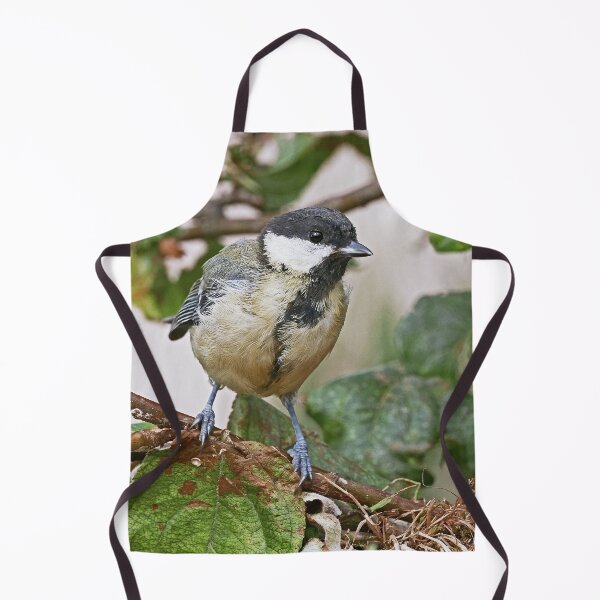 Item preview, r1472/ Super New Finition 2021- Birds b 23 (c)(t) by Olao-Olavia / Okaio Créations designed and sold by o.okaïo.
